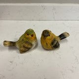 Pair of Yellow and Green Birds