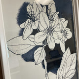 Set of 4 Napa &  Garden Studio Floral Sketches in White Frames