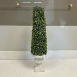Topiary in Planter