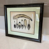 Vintage Feathers Print