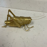 Gold Cricket
