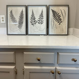 Set of 3 Fern Art