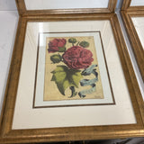 Set of 6 Botanical Art Prints