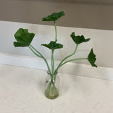 Lotus Leaves in Vase