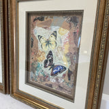 Pair of Dragonfly/Butterfly Prints