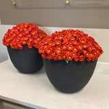 Pair of Faux Mums in Pots