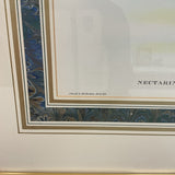 Set of 4 John Gould Bird Prints