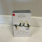 Indoor/Outdoor 60 Light Strand