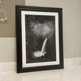 Waterfall Forest Print