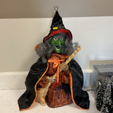 Lighted Witch