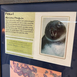 Pearl the Penguin Original Art