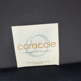 Pair of Fancy Footwork Caracole Chairs with Pillows