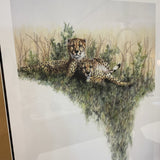 2 Cheetah's Print
