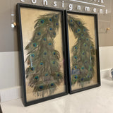 Pair of Peacock Feather Shadow Boxes