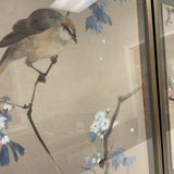 Pair of Spring Perch 1&2 Havertys Framed Art