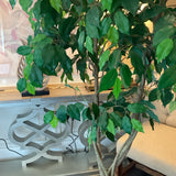 Faux Tree in Square Basket