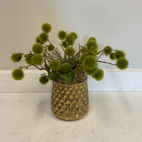 Greenery Poms in Gold Vase