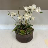Orchid Succulent Arrangement