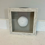 Shell Shadow Box