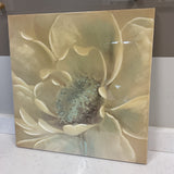Soft Winter Flower on Canvas