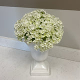 Hydrangeas In White Planter
