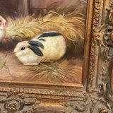 Bunny Oil