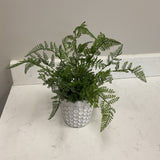 Greenery in White Pot