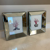 Pair of Mirrored Frame Coral Prints