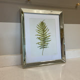 Fern Leaf Art
