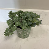 Small Green Planter w/ Greenery