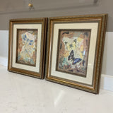 Pair of Dragonfly/Butterfly Prints