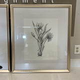 Pair of Uttermost Floral Sketches