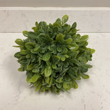 Boxwood Greenery Ball