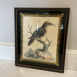 Bird Print