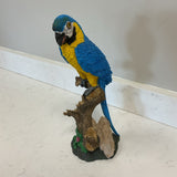 Blue Parrot