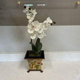 Orchid in Floral Vase