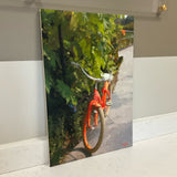 Bike Art