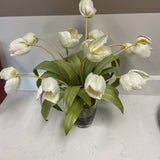 Tulip Arrangement