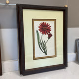 Uttermost Daisy Art