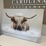 Highland Bathtub Cow on Canvas