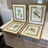 Set of 4 John Gould Bird Prints