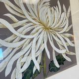 Pair of Glorious White Prints