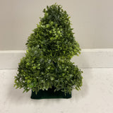 HGTV Green Topiary
