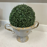 IMAX Vase with Boxwood