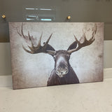 Moose Canvas