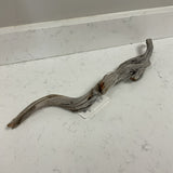 Branch