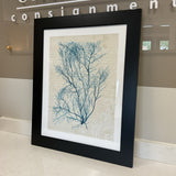Teal Seaweed Print