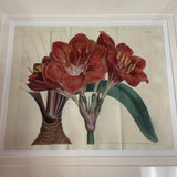 Set of 4 Botanical Prints