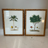 Pair of Chelsea House Tree Art