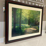 Green Forest Art